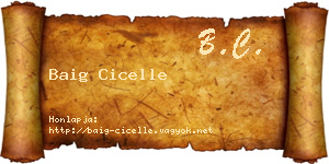 Baig Cicelle névjegykártya